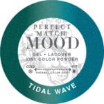 Load image into Gallery viewer, LECHAT PERFECT MATCH - MOOD Changing Color Duo Set (Gel & Lacquer) - 0.5oz