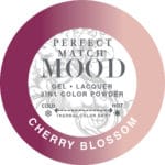 Load image into Gallery viewer, LECHAT PERFECT MATCH - MOOD Changing Color Duo Set (Gel & Lacquer) - 0.5oz