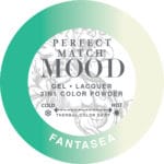 Load image into Gallery viewer, LECHAT PERFECT MATCH - MOOD Changing Color Duo Set (Gel & Lacquer) - 0.5oz