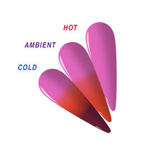 Load image into Gallery viewer, Nitro Dipping Powder EDSC Transform ( Choose your colors )