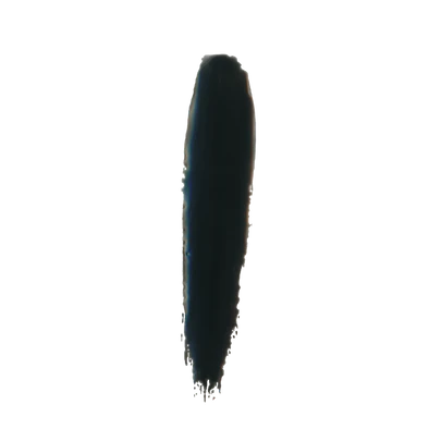 Tammy Taylor Nail Lacquer  - ferosh black
